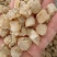 ***干贝瑶柱干贝质量好***食堂食品厂馅料
