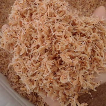 网红虾皮带籽虾皮引子虾皮红膏虾皮个头大淡干无盐