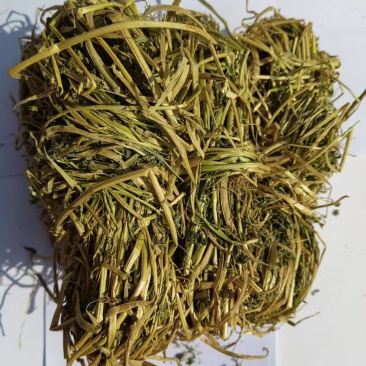 苜蓿草香苜蓿香料产地一手货源整件优惠大货对接可联系