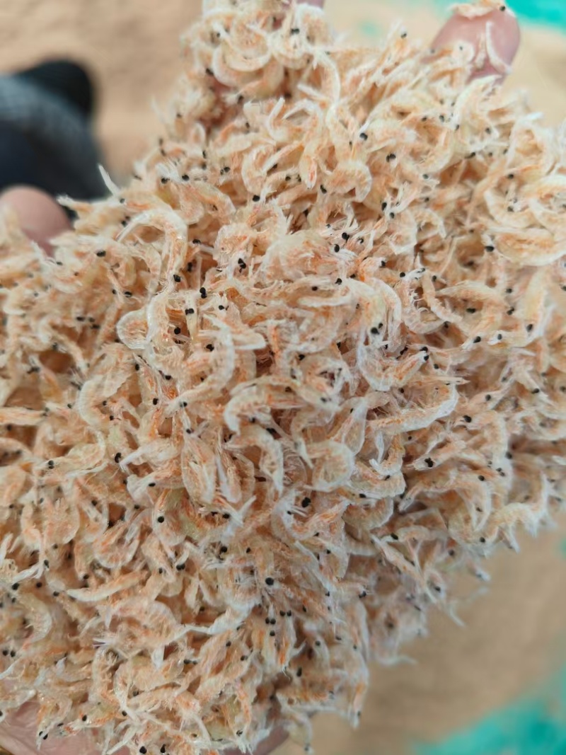 网红虾皮带籽虾皮引子虾皮红膏虾皮个头大淡干无盐