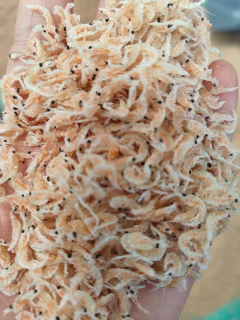 网红虾皮带籽虾皮引子虾皮红膏虾皮个头大淡干无盐