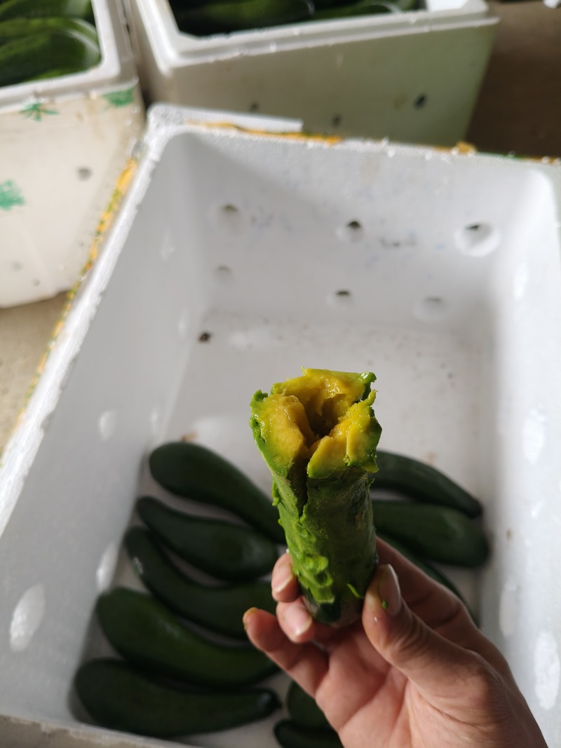 精选优质牛油果，富含健康油脂，美味又养生。