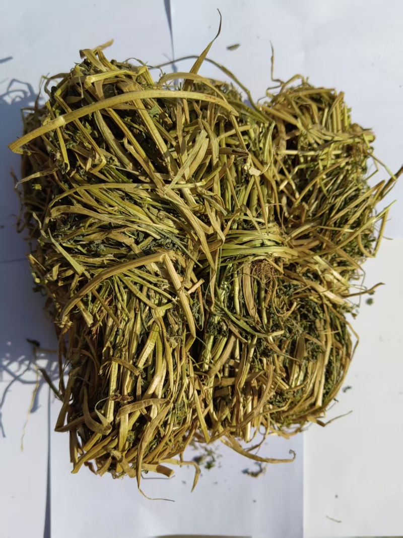 苜蓿草香苜蓿香料产地一手货源整件优惠大货对接可联系