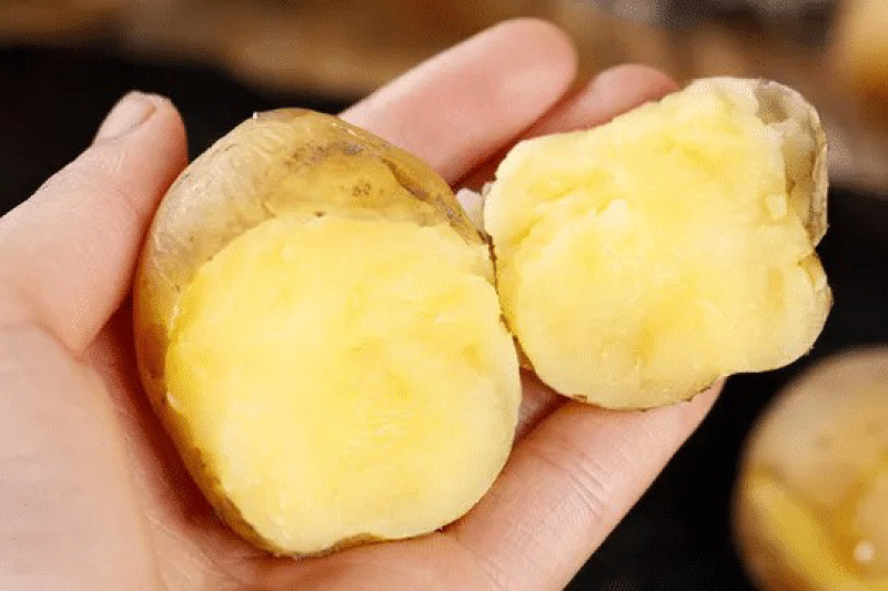【实力】湖北黄心土豆大量上市了物美价廉产地直发可视频看货