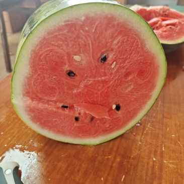 绿爽西瓜