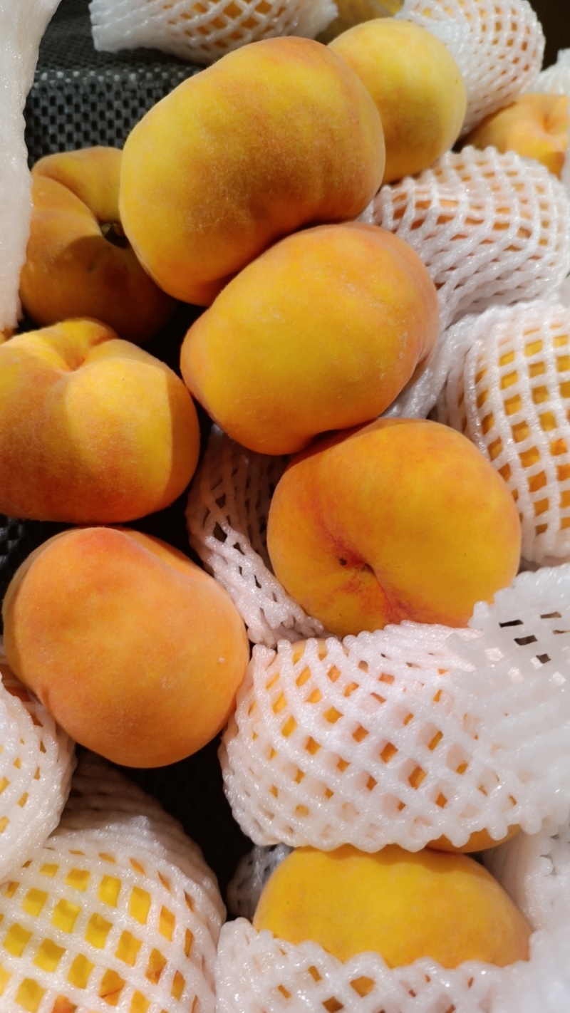 湖北随县尚市镇桃子大量上市，欢迎广大客商前来采购咨询