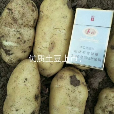 荷兰十五土豆黄皮黄心品种齐全质量保证全国发货坏烂包赔