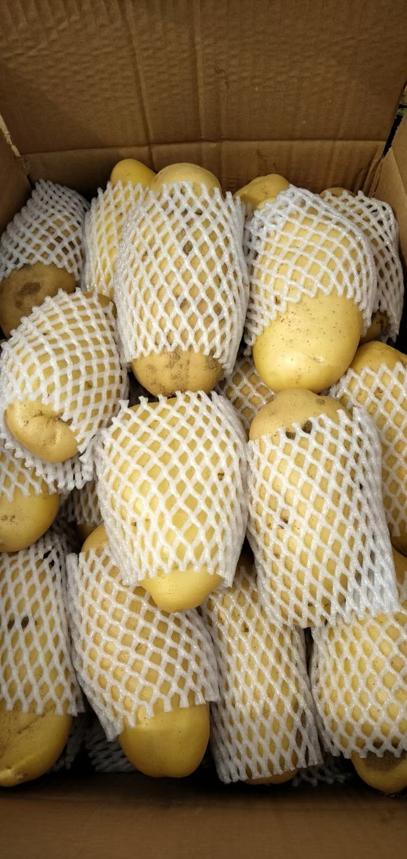 荷兰十五土豆黄皮黄心品种齐全质量保证全国发货坏烂包赔