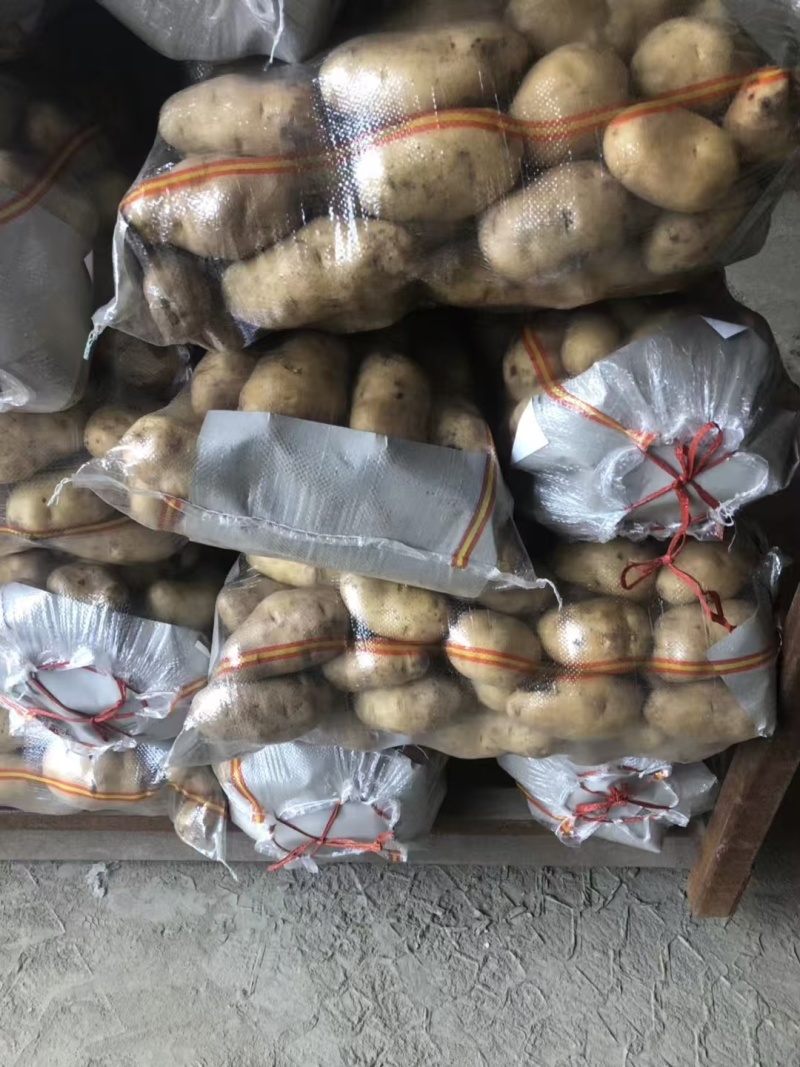 荷兰十五土豆黄皮黄心品种齐全质量保证全国发货坏烂包赔