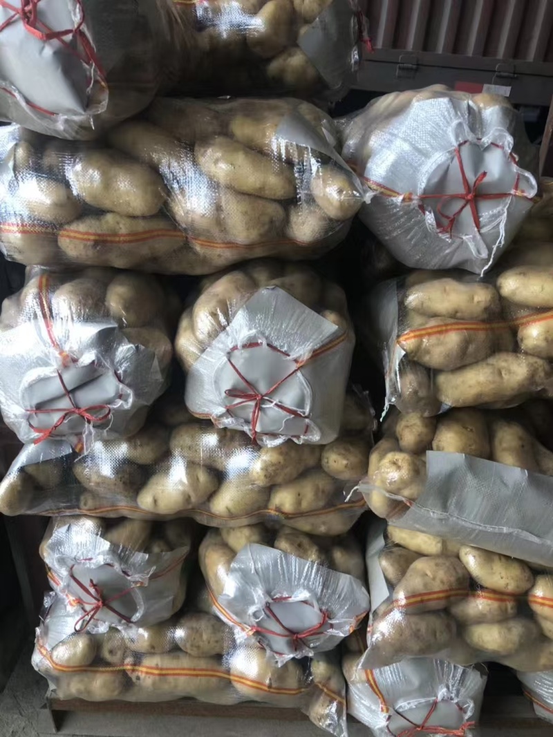 荷兰十五土豆黄皮黄心品种齐全质量保证全国发货坏烂包赔