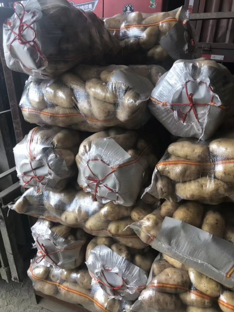 荷兰十五土豆黄皮黄心品种齐全质量保证全国发货坏烂包赔