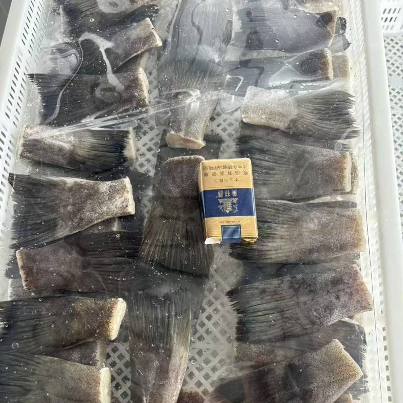 烧烤蝶鱼尾