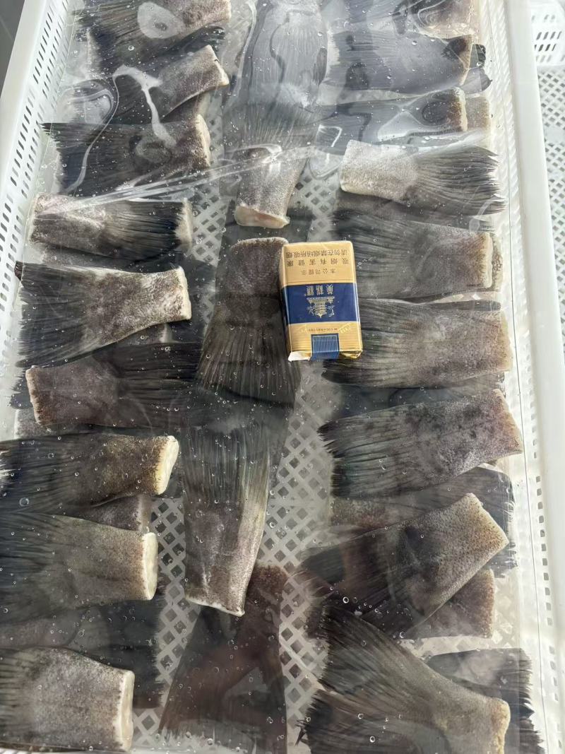 烧烤蝶鱼尾