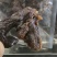烧烤蝶鱼尾