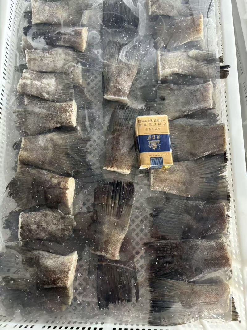 烧烤蝶鱼尾