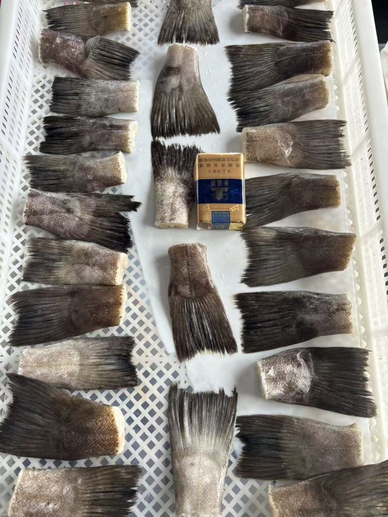 烧烤蝶鱼尾