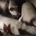 云南曲靖活猪毛猪粮食猪全国发货一头起卖