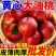 【优选】一手货源黄心油桃对接全国市场，量大从优，欢迎采购