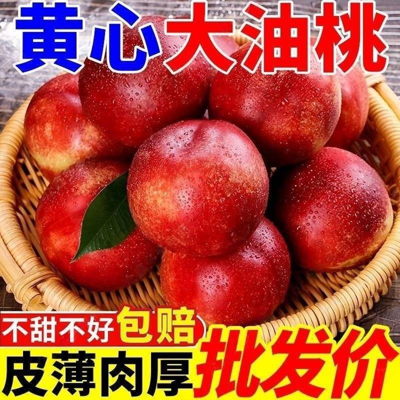 【优选】一手货源黄心油桃对接全国市场，量大从优，欢迎采购