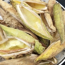 天浆壳罗摩壳天将壳天降壳老瓜瓢中药材
