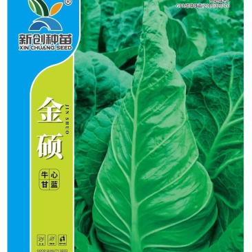 甘蓝种子金硕高品质瘦尖脆牛心甘蓝品种油绿春秋越冬