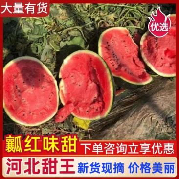 河北保定精品陆地甜王西瓜10斤打底货源充足包熟包甜发市场