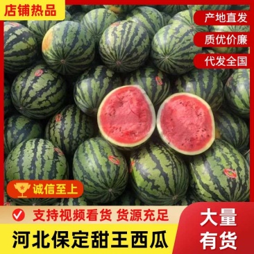 河北保定精品陆地甜王西瓜包熟包甜皮薄大红瓤价格低代发全国