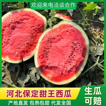 河北陆地甜王西瓜品质保障价格优惠产地直发包熟包甜市场**