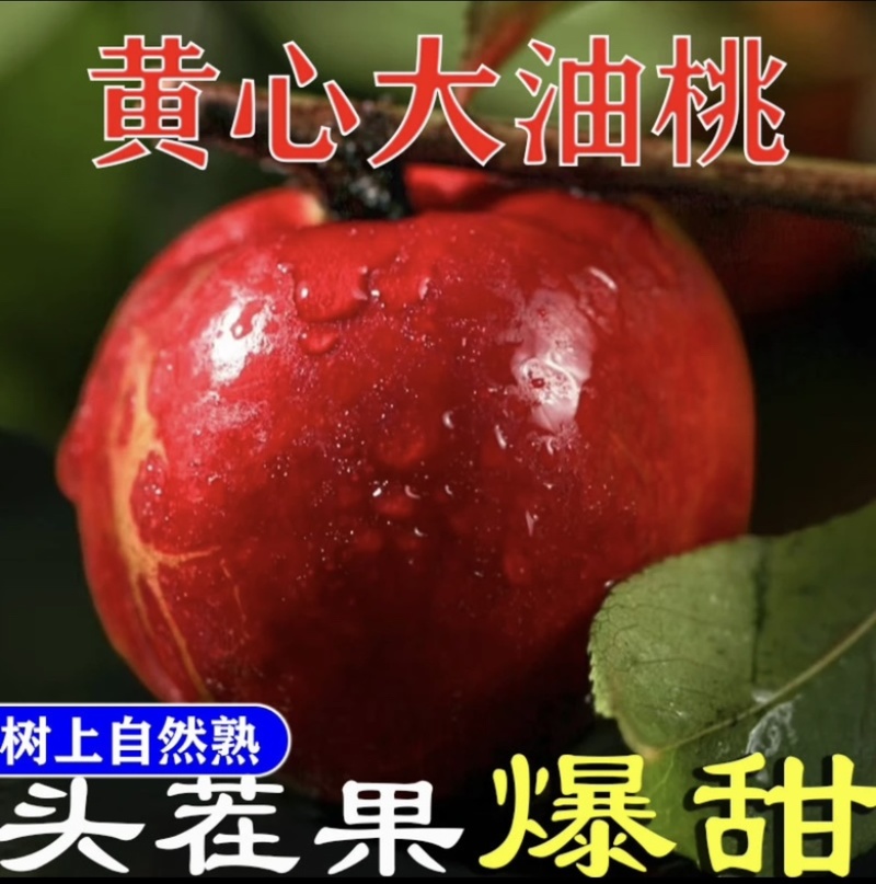 山西黄心油桃对接电商一件代发。