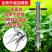 加厚农用手动多功能栽苗神器定植器种苗种菜播种瓜农种苗