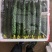 刺黄瓜30公分左右大鲜花瓜条均匀颜色好刺密现场看货满意