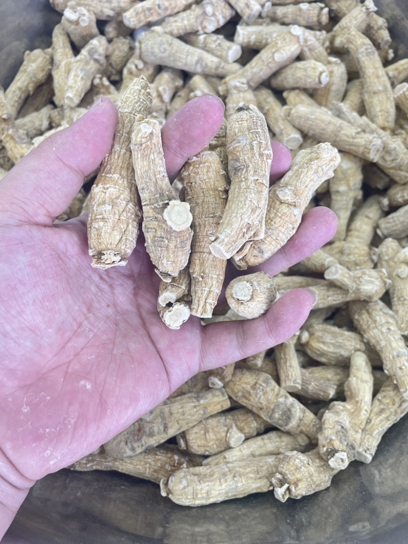 现货即见即所得西洋参大颗包邮