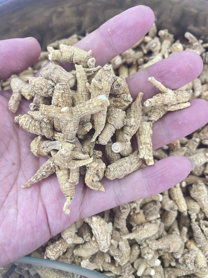 现货即见即所得西洋参大颗包邮