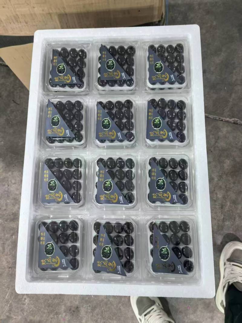 纯甜无籽树葡萄，产地现货直发，保质保量，欢迎订购