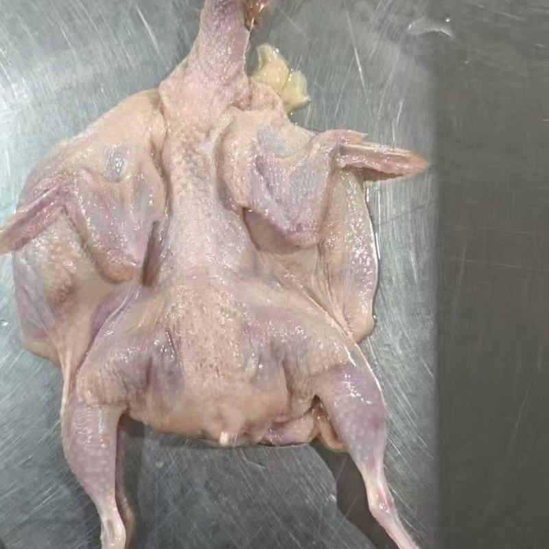 开膛鹌鹑，低价