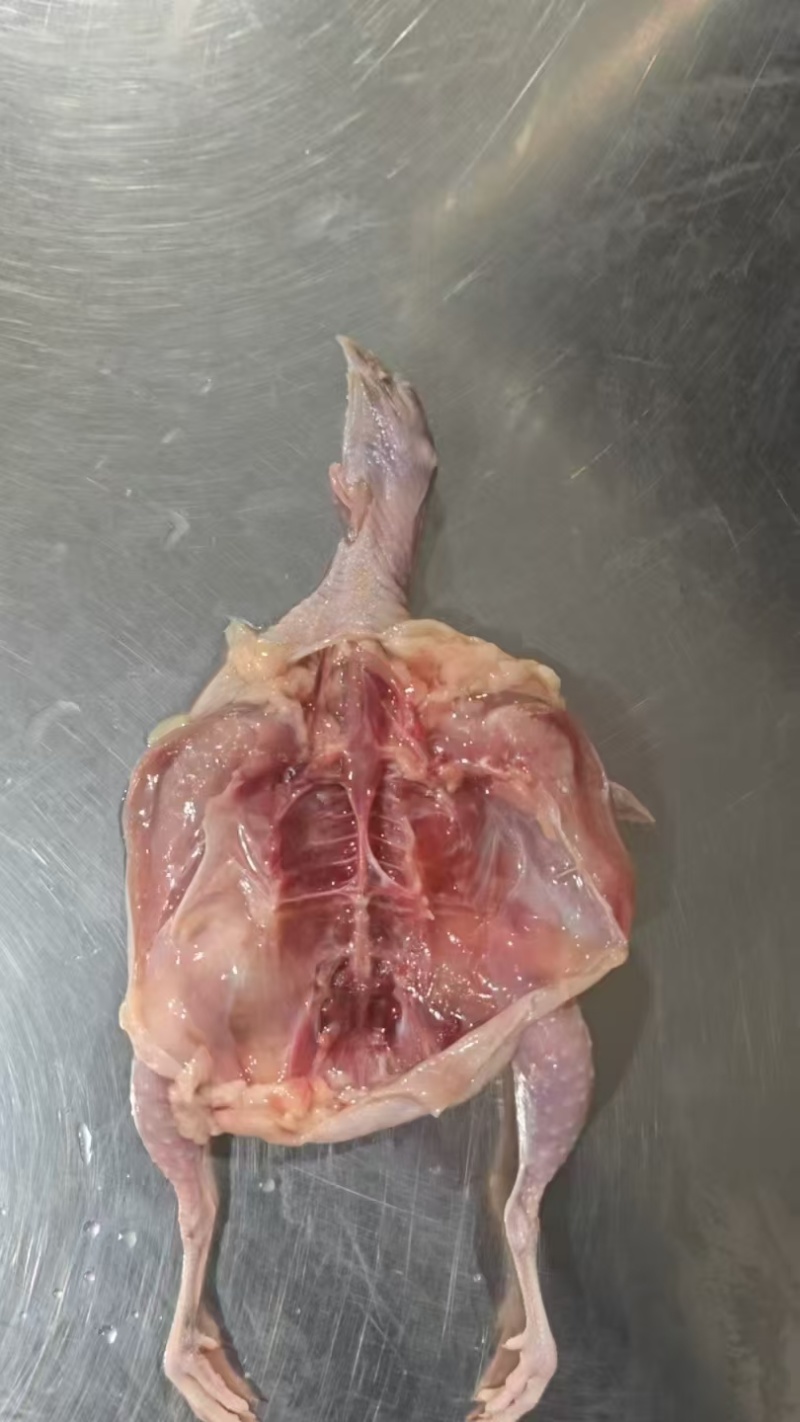 开膛鹌鹑，低价