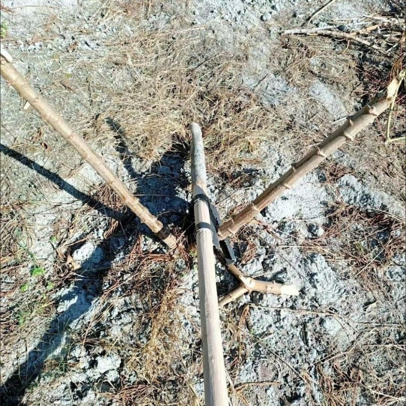 拨专用手工省力农用新款挖木薯拨棉花烟杆家用杆多用途