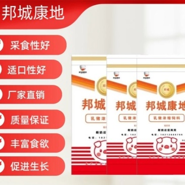 海大饲料乳猪浓缩饲料出生到出栏平均日长1.67斤