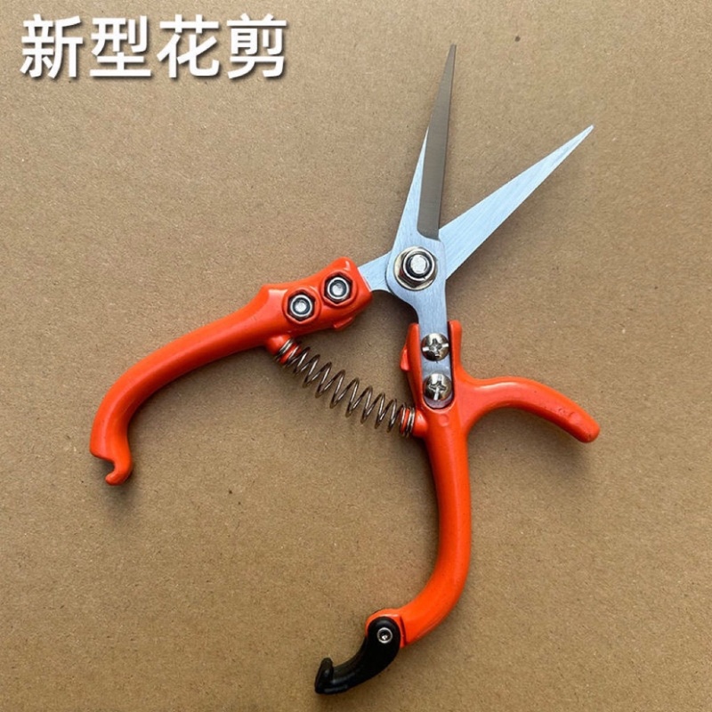修枝剪子葡萄摘果剪园林果树剪刀粗枝花剪省力树枝修花