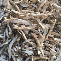 香橼香橼丝香元批发各种规格中药材质量保证