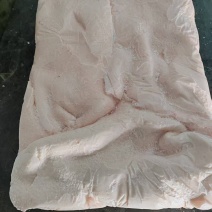 母猪肥膘