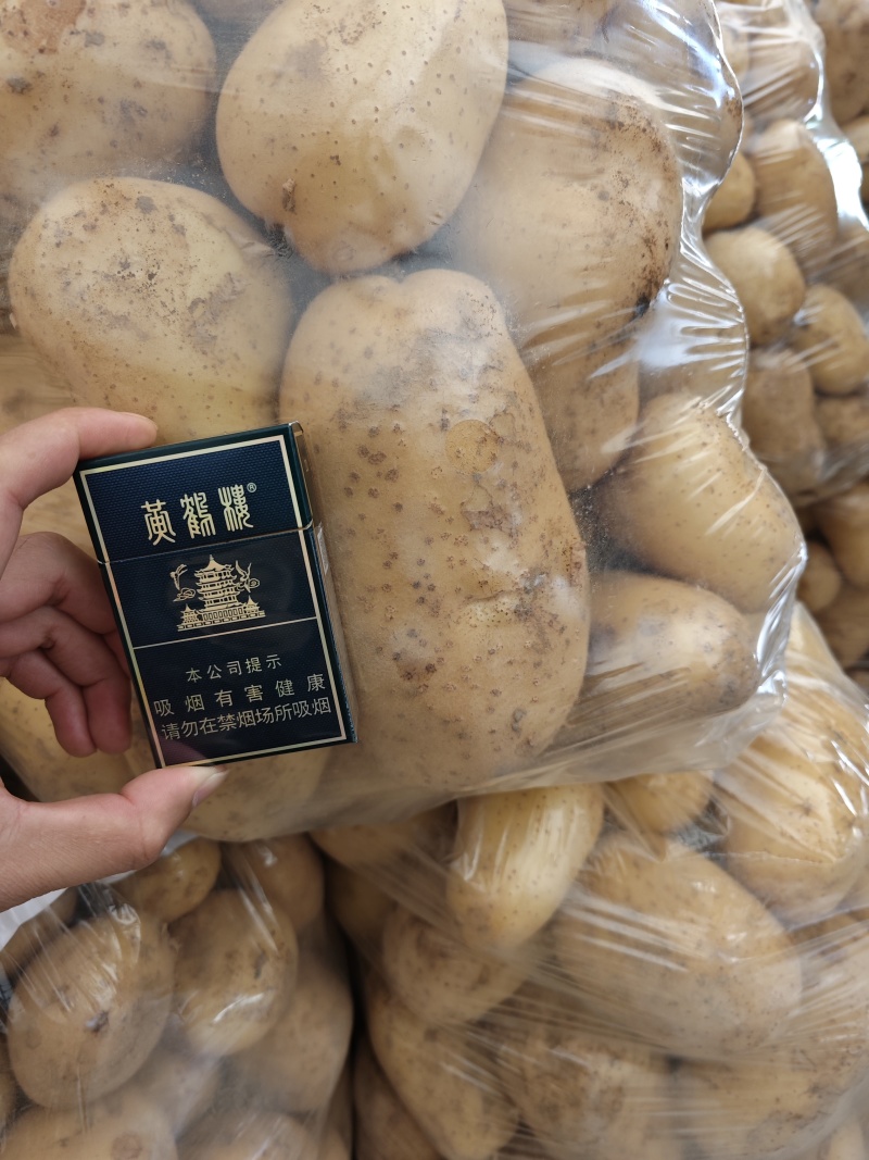 通许土豆黄心土豆产地直发货源充足可视频看货欢迎致电