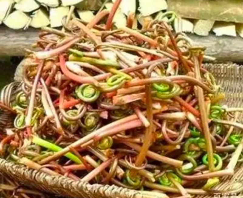 东北山野菜牛毛广干微菜干