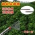 加厚不锈钢捡拾神器捡花生工具捡鸡蛋贝壳神器农用多功能