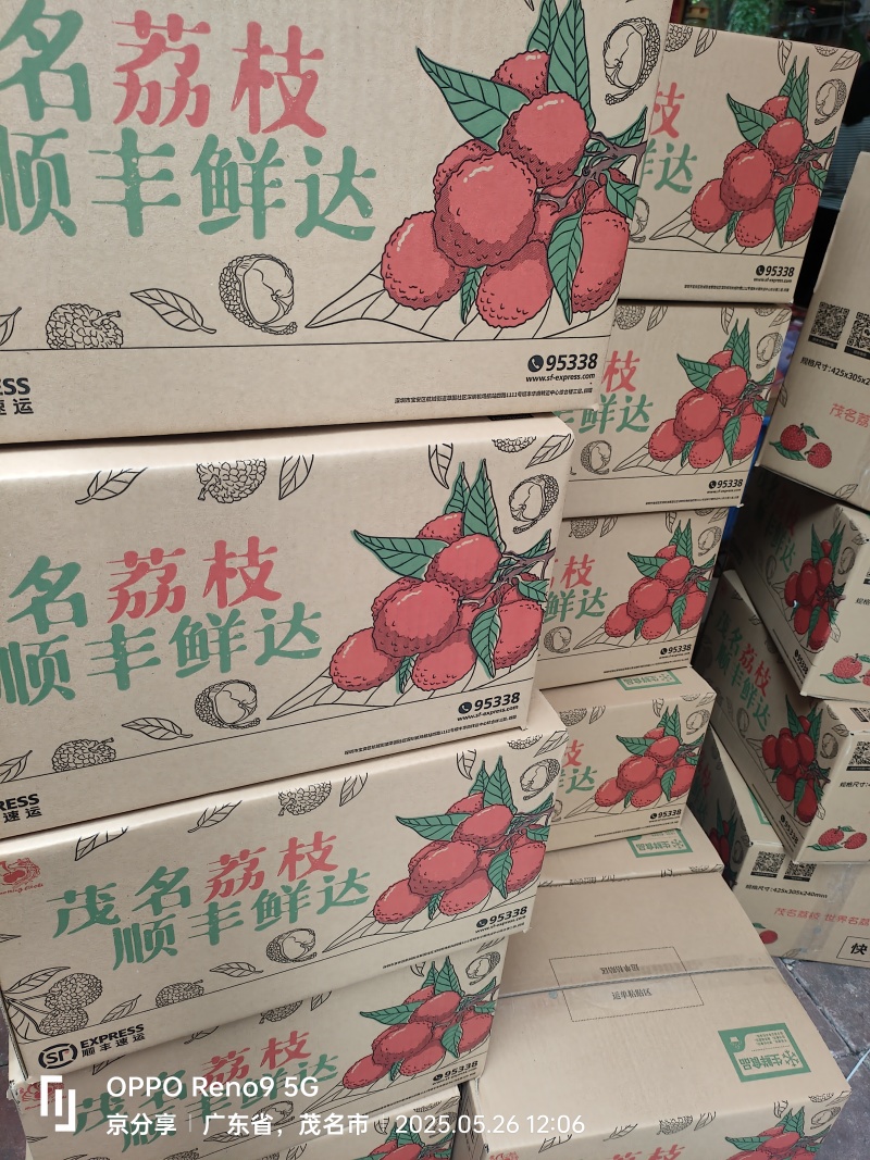 高州白糖罂荔枝顺丰批发产地直供广东省内包邮
