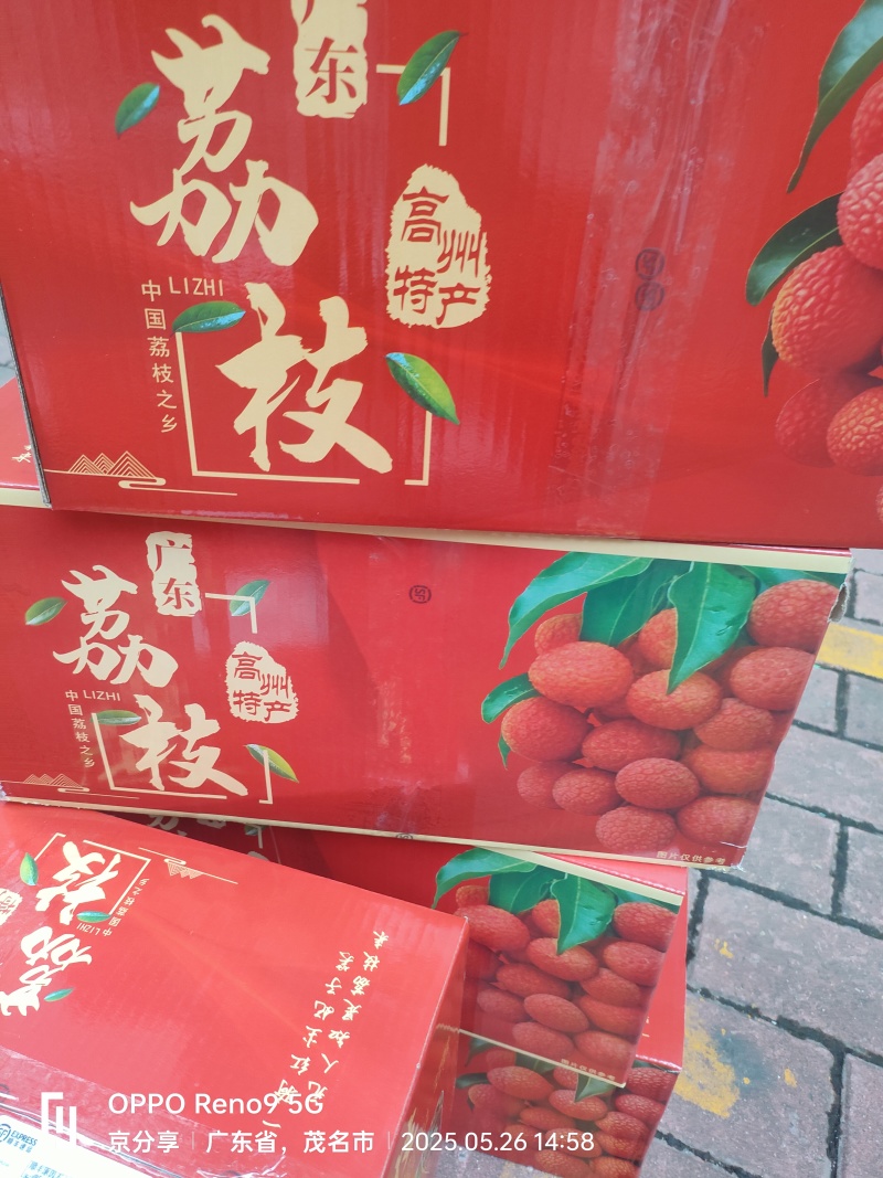 高州白糖罂荔枝顺丰批发产地直供广东省内包邮