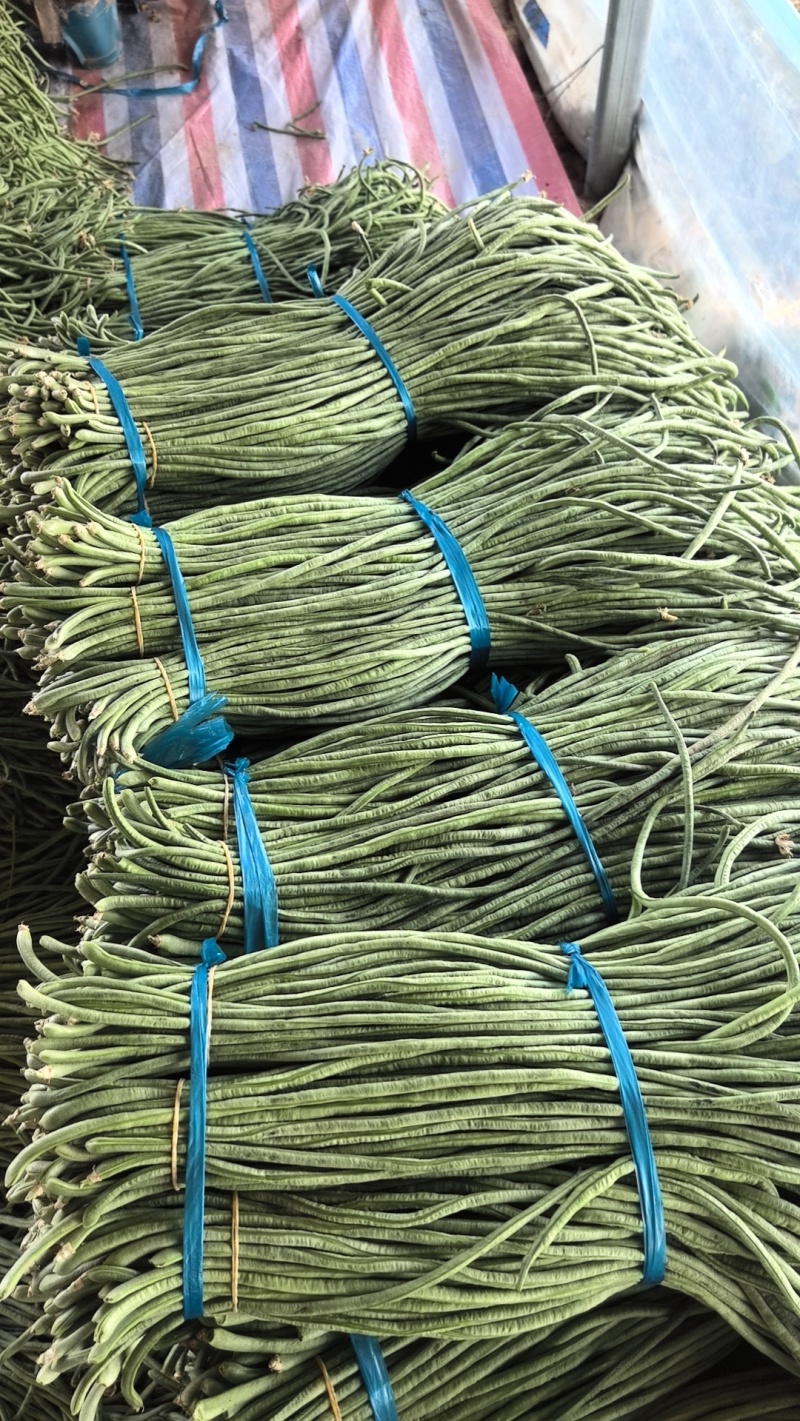 青条豆角，精品中的精品，电商，市场，商超