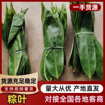 【优质推荐】粽叶大量上市量大从优保质保量可视频看货
