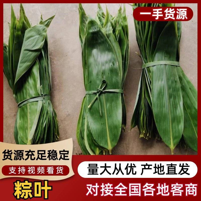 【优质推荐】粽叶大量上市量大从优保质保量可视频看货