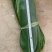 【优质推荐】粽叶大量上市量大从优保质保量可视频看货